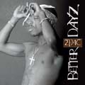 Better Dayz